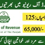 Board of Revenue Punjab Jobs 2024 Apply Online for Multiple Vacancies