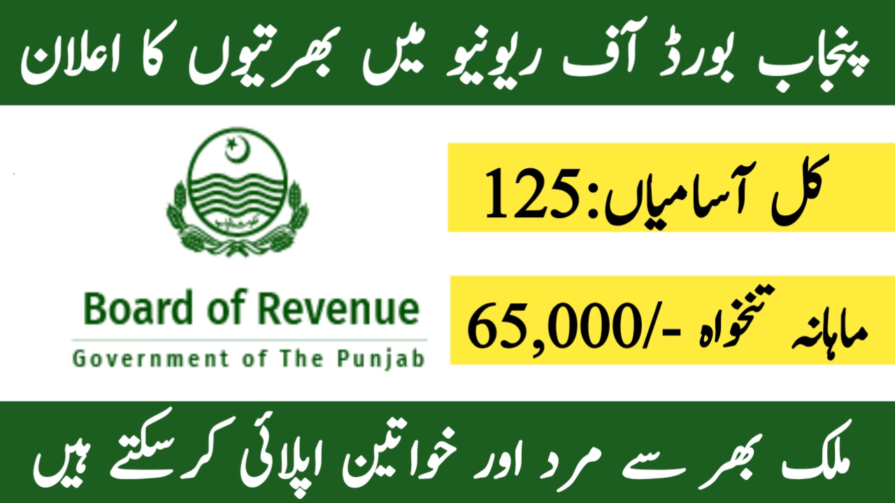 Board of Revenue Punjab Jobs 2024 Apply Online for Multiple Vacancies