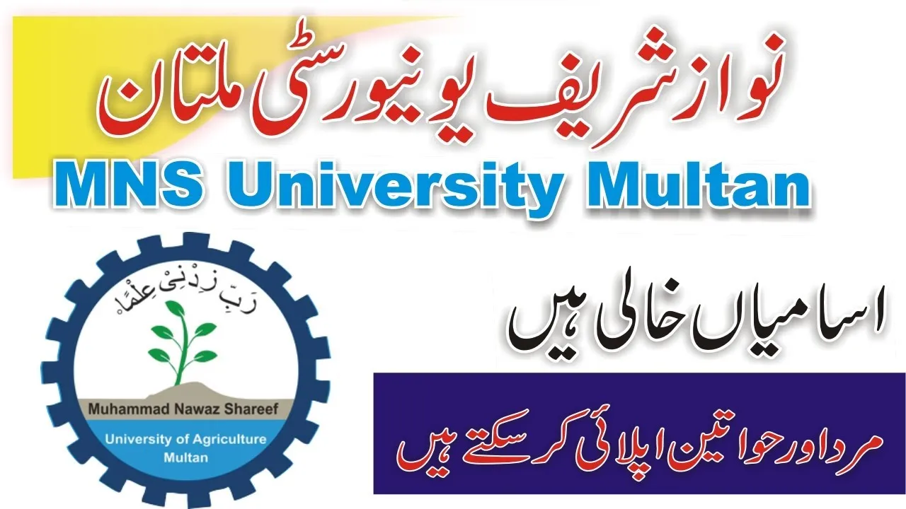 Jobs Available At MNS University Of Agriculture Multan 2025 Advertisement