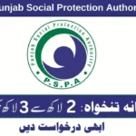 Punjab Social Protection Authority (PSPA) Lahore Jobs 2025 Apply Online Now