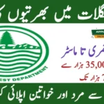 Department of Fisheries Jobs 2025 Apply Online Through jobs.punjab.gov.pk