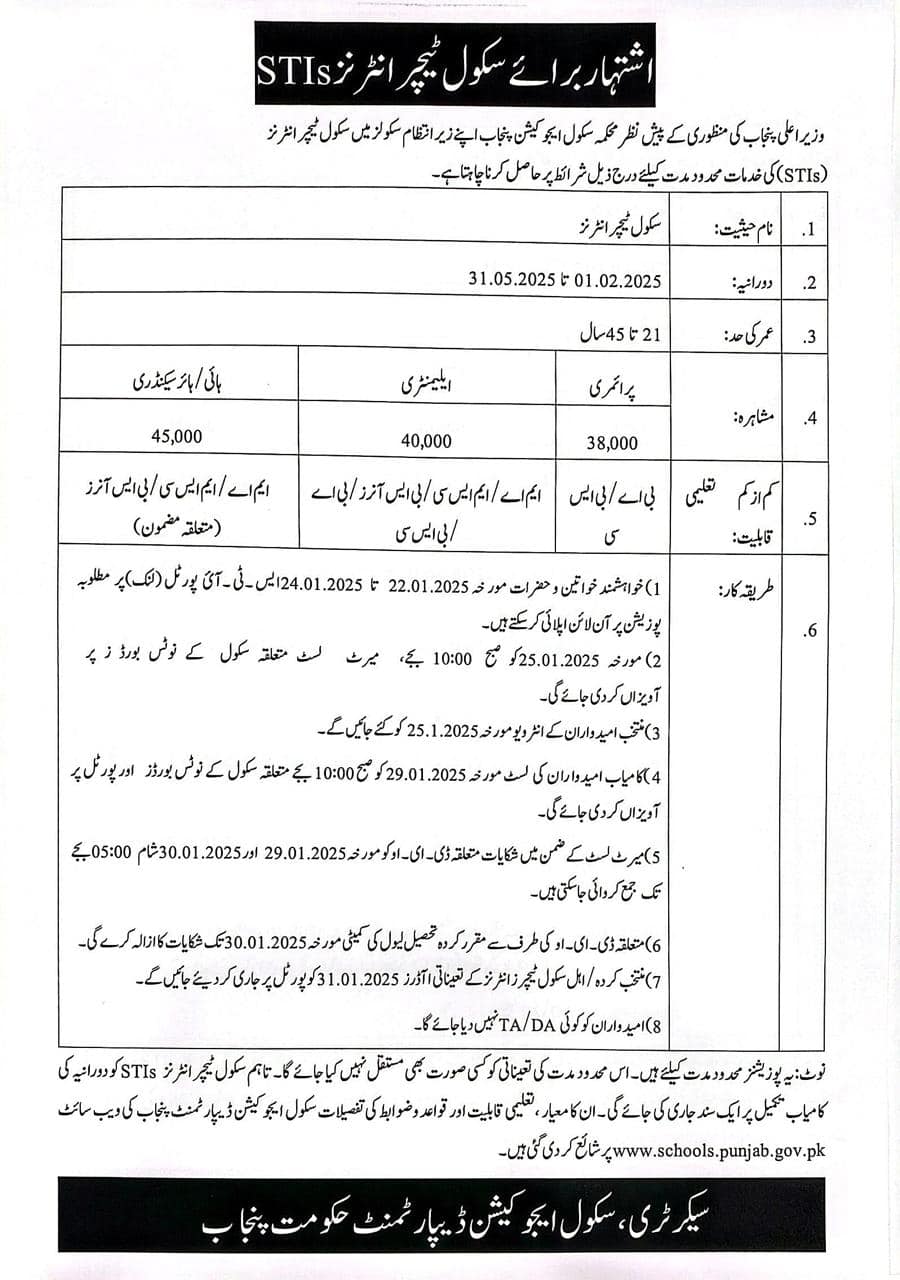 School Teacher Interns (STIs) Program Jobs 2025 in Punjab Government Schools