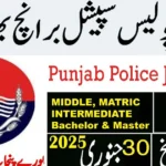 Special Branch Punjab Police Jobs 2025 - Apply Process