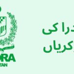 National Database & Registration Authority (NADRA) Consultant Jobs 2025 Apply Online